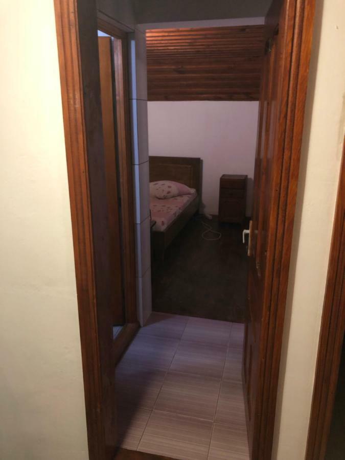 Pension Amira Costinesti Bagian luar foto