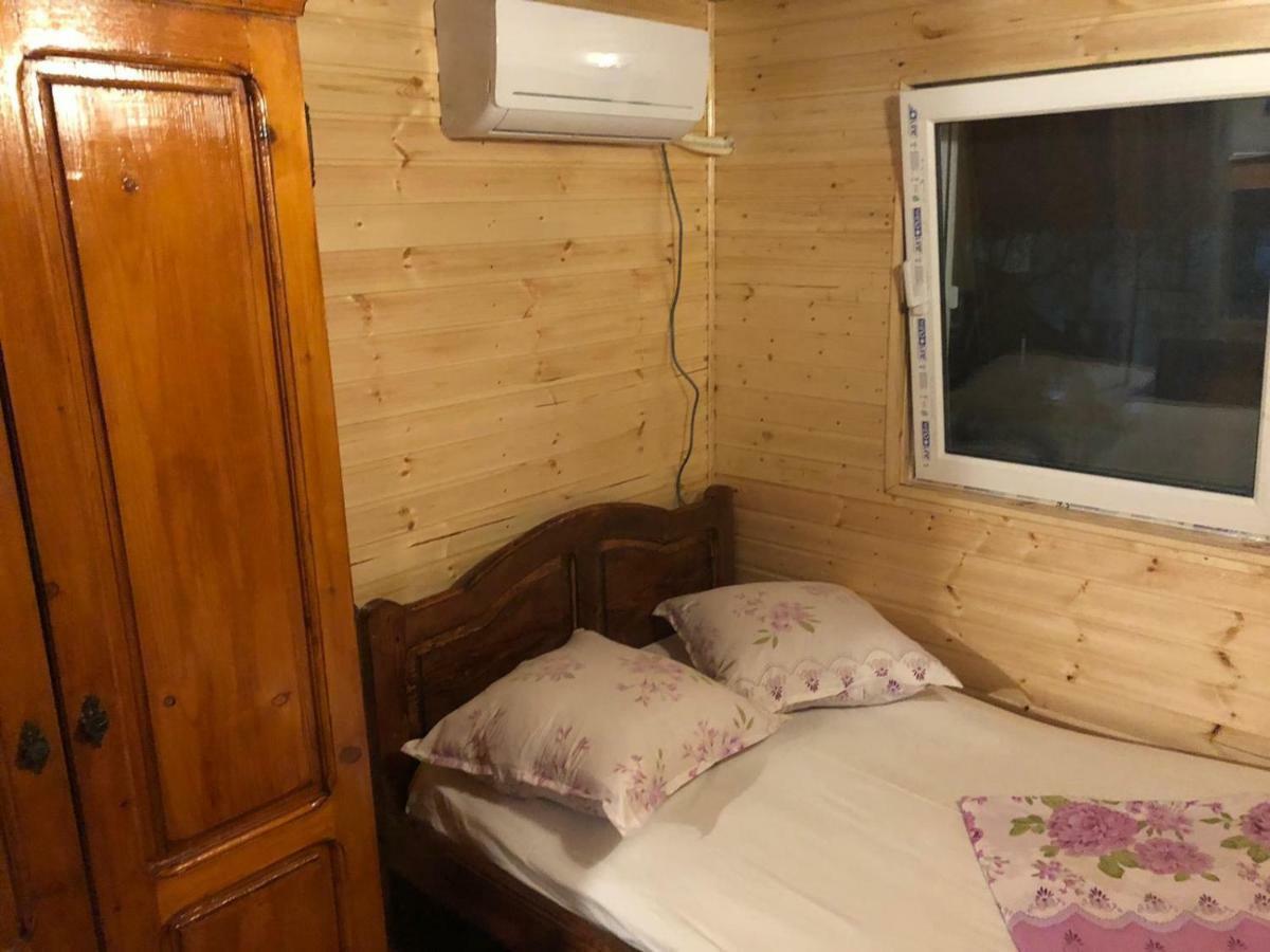 Pension Amira Costinesti Bagian luar foto